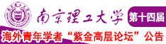 啊插我舔用力视频南京理工大学第十四届海外青年学者紫金论坛诚邀海内外英才！